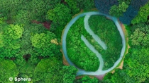 Bird's eye view of the Sphera logo cut into trees