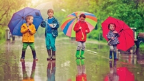 Four young children with colorful umbrellas playing in the rain Four young children with colorful umbrellas playing in the rain
