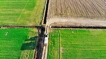 A truck driving through green corn fields. A truck driving through green corn fields.