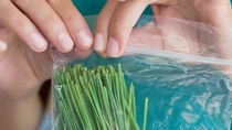 Two hands zipping up green chives in a plastic zip-lock bag. Two hands zipping up green chives in a plastic zip-lock bag.