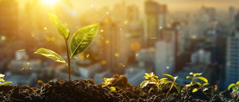 Green Construction Revolution: Promoting Environmental Awareness and Economic Viability Green Construction Revolution: Promoting Environmental Awareness and Economic Viability