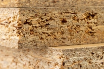 Particleboard with veneer is cut into small pieces. Materials for carpenters to build furniture. Light background.; Shutterstock ID 1413294887; Jobnummer: 022003; Projekt: BASF Website; Endkunde: BASF SE , CM/K Daniela Rechenberger; Sonstiges: BASF SE, ESI/K Matthias Baque