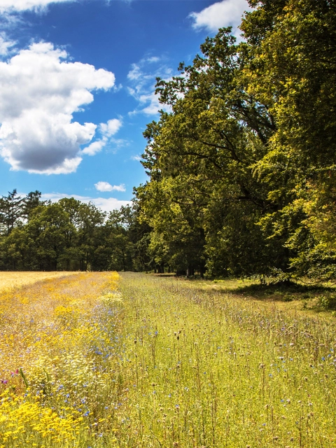 BASF hat sich bis 2030 zu klaren und messbaren Zielen bekannt, um nachhaltige Landwirtschaft zu stärken. Das Unternehmen konzentriert sich dabei auf die größten Hebel, mit denen Landwirtschaft nachhaltiger gestaltet und zu den vorrangigsten Bedürfnissen der Gesellschaft beigetragen werden kann.