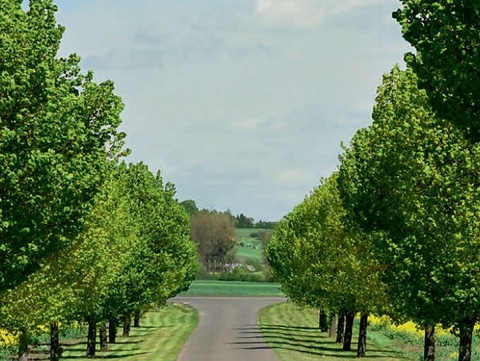 Biomass Balance Approach