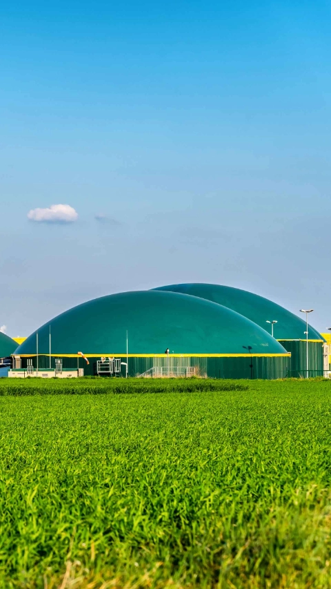 BASF biogas plant